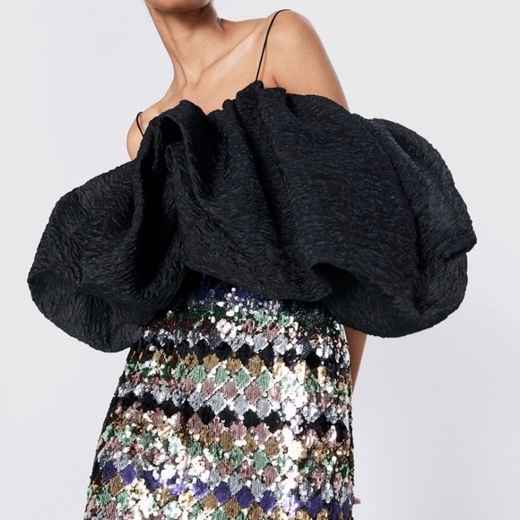 ZARA BNWT Voluminous Crop Top - Picture 1 of 8